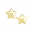 14kt Yellow Gold Star Earrings